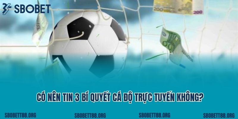 Khám Phá Hướng Đi Mới Cùng https//sbobett88.org/ - Chuyên Trang Cá Cược Đáng Tin Cậy Đầu Nhất Việt Nam