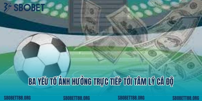 Khám Phá SbobetT88 qua https//sbobett88.org/ - Bí Quyết Thành Công