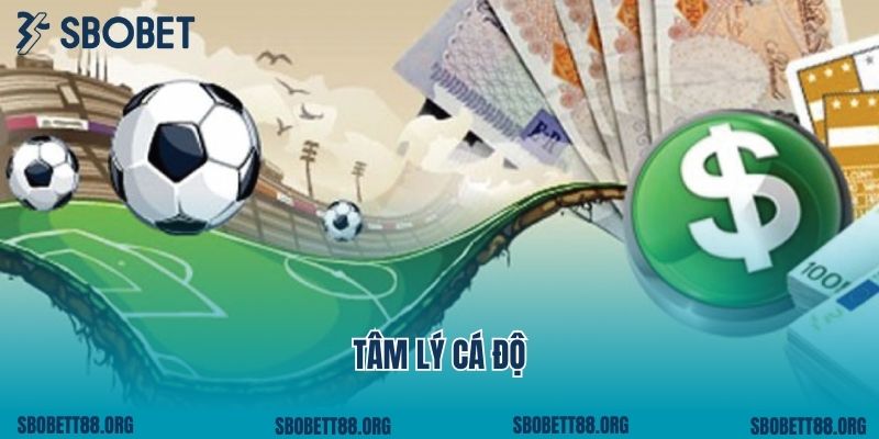 Khám Phá Những Trải Nghiệm Đỉnh Cao Tại https//sbobett88.org/ - Sân Chơi Thể Thao Đẳng Cấp Và Đáng Tin Cậy